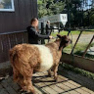 Meet your Posher, Adawna